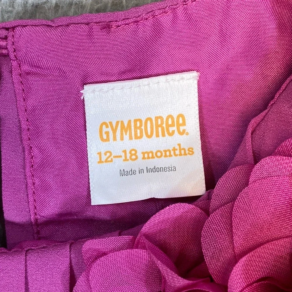 Gymboree‎ Dress Toddler Girls 12-18 m Hot Pink Lined Chiffon Floral Party Formal